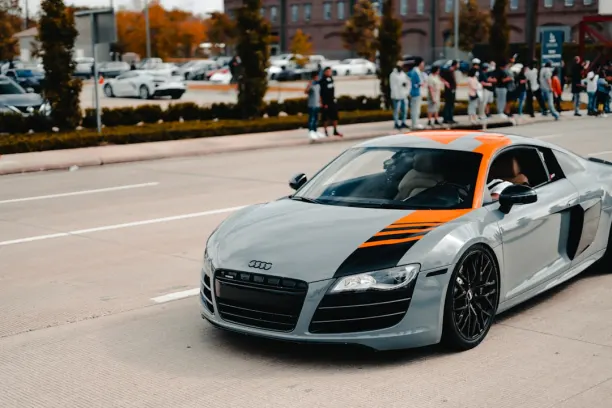 Kasyno Cashi Mashi Aplikacja Android/iOS